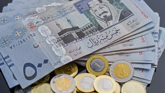 سعر الصرف اليوم بين الريال السعودي والجنيه المصري هو SAR / EGP